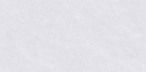 Q841059L